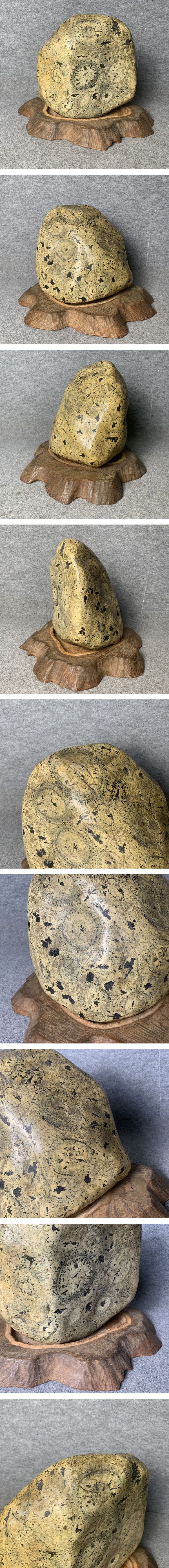 画像一覧※正しく表示されていない場合はご連絡いただけるとありがたいです。