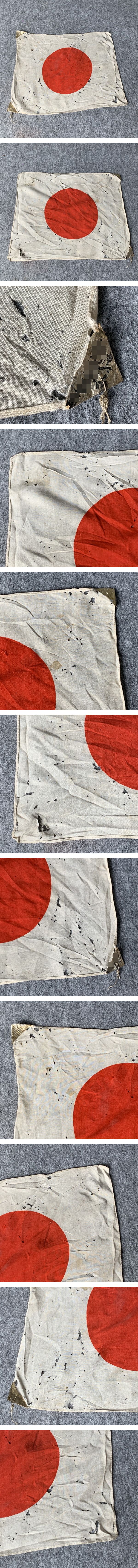 画像一覧※正しく表示されていない場合はご連絡いただけるとありがたいです。